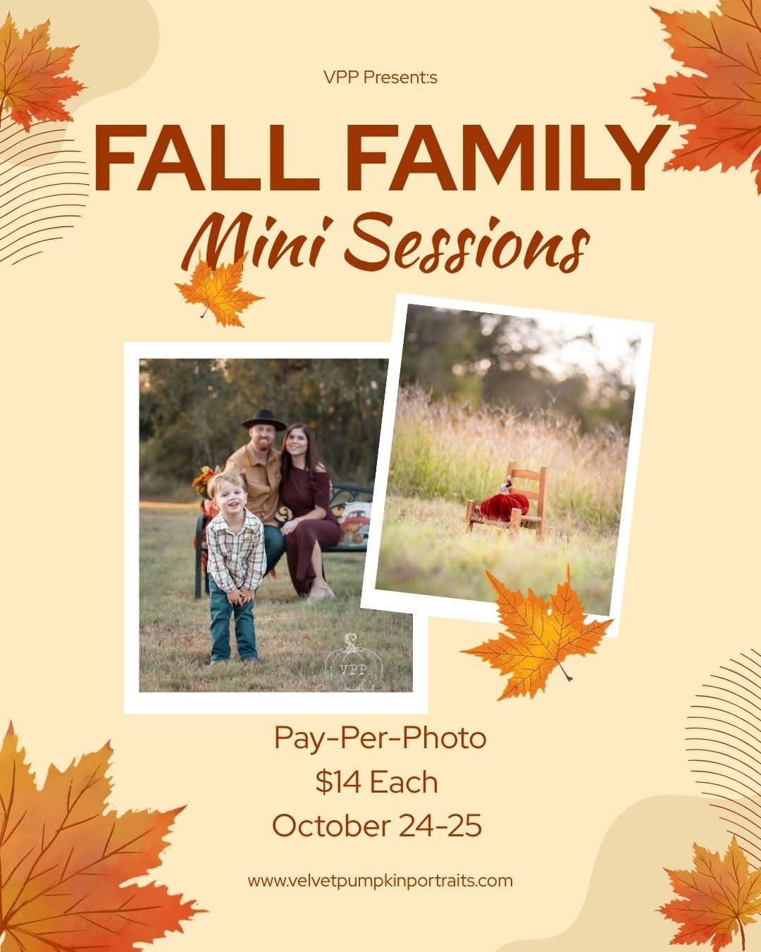 mini-session poster